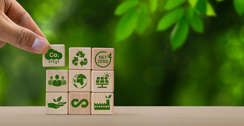 Completá formulario